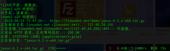 image-20210226135636527